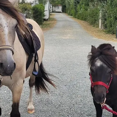 캠프장 Mobil-home Avec Terrasse A - Api-1-52-1328 Puyravault (Vendee)