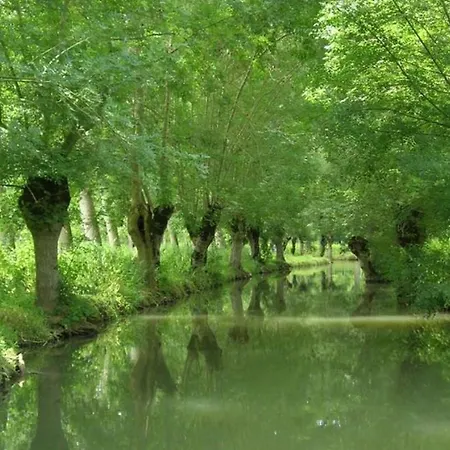 캠프장 Mobil-home Avec Terrasse A - Api-1-52-1328 *