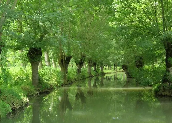 Camping Mobil-home Avec Terrasse A - Api-1-52-1328 *